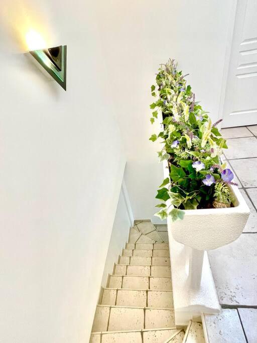 Charmante Villa Pour 10 Personnes Saint-Augustin  Exteriör bild